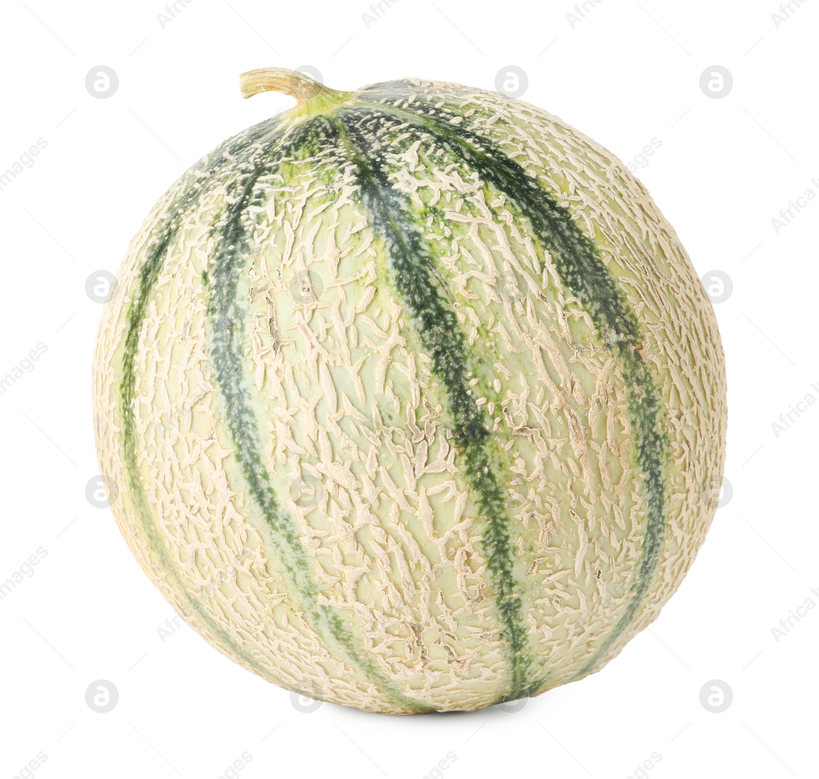 Photo of One whole Cantaloupe melon isolated on white