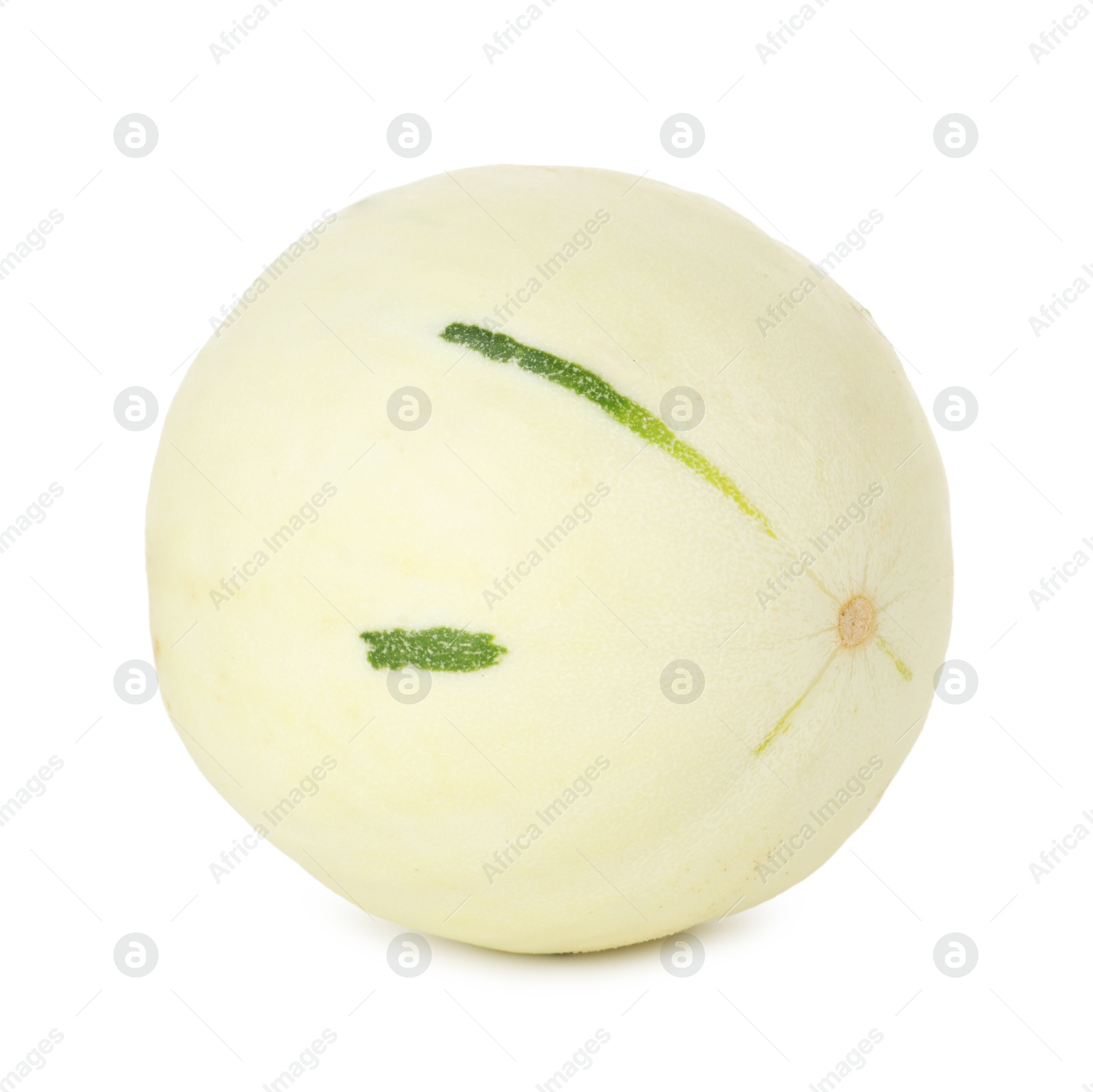 Photo of Fresh ripe honeydew melon isolated on white