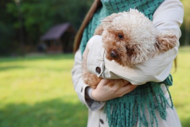 Photo of Woman with cute dog in autumn park, closeup. Space for text