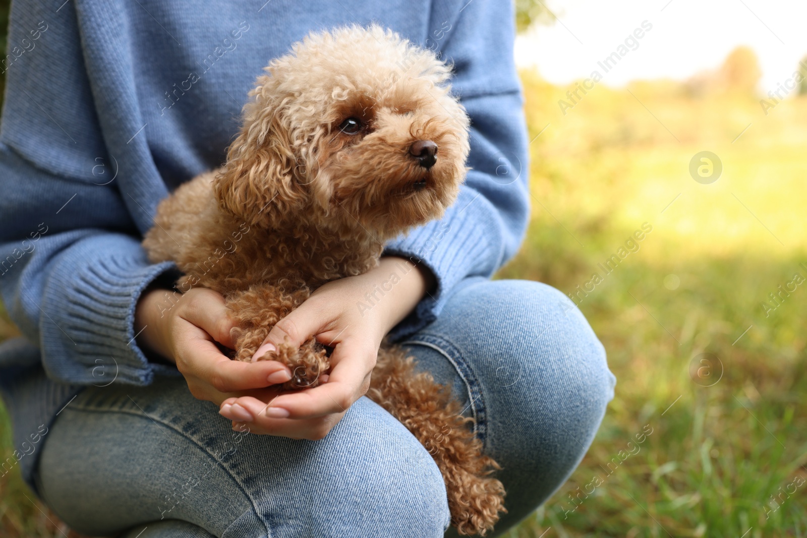 Photo of Woman with cute dog outdoors, closeup. Space for text