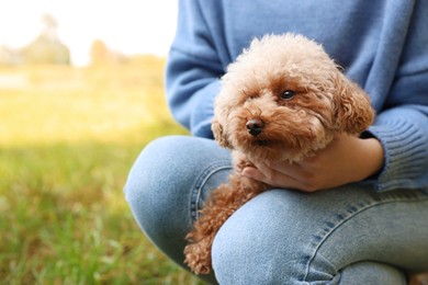 Woman with cute dog outdoors, closeup. Space for text