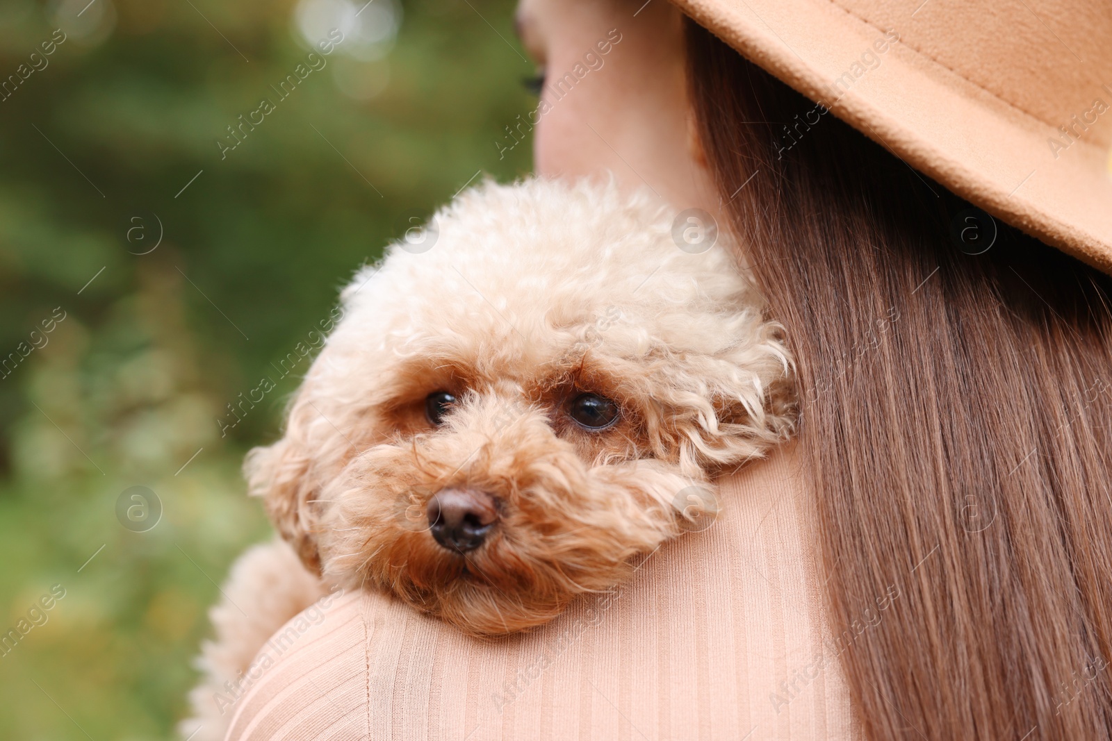 Photo of Woman with her cute dog outdoors, closeup