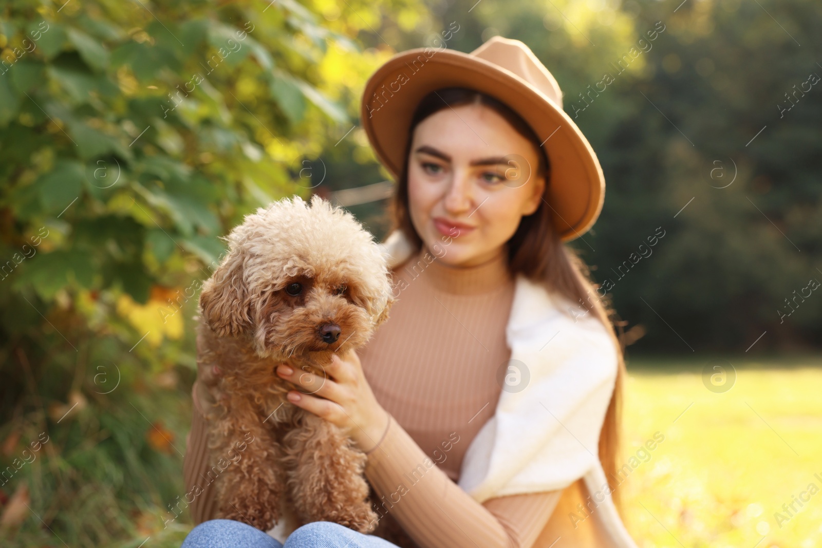 Photo of Woman with cute dog in autumn park, selective focus