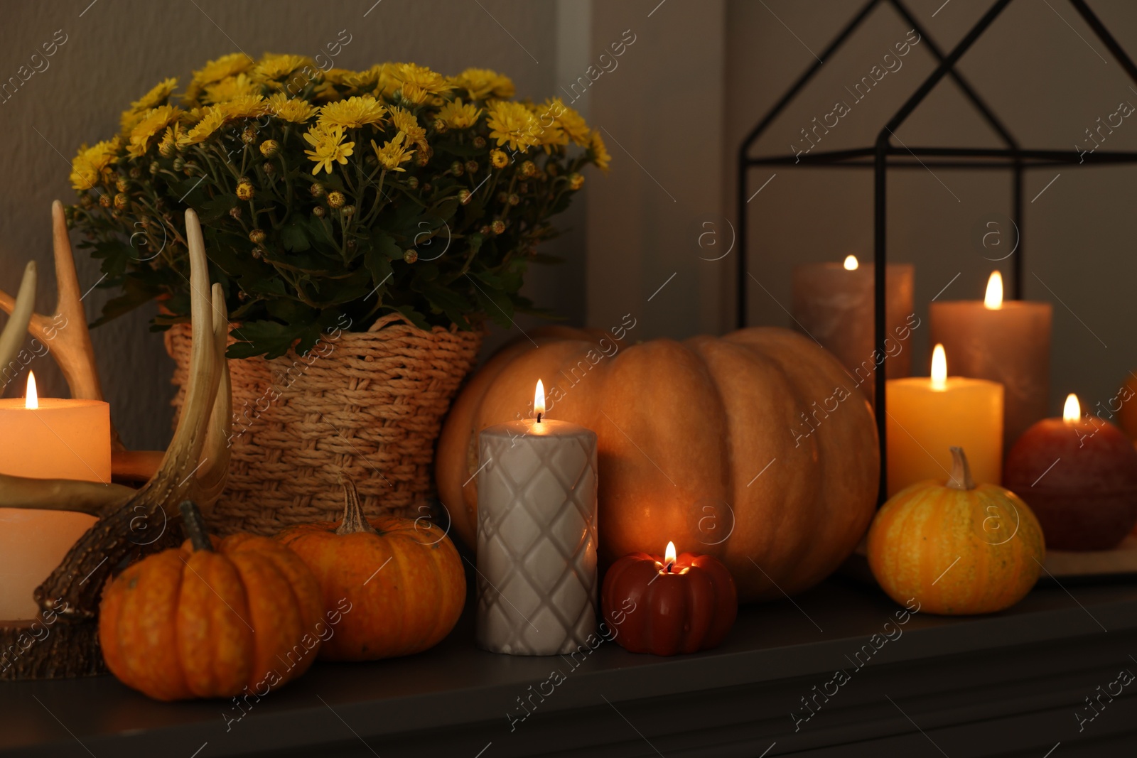 Photo of Different burning candles, flowers and pumpkins on shelf indoors. Autumn atmosphere