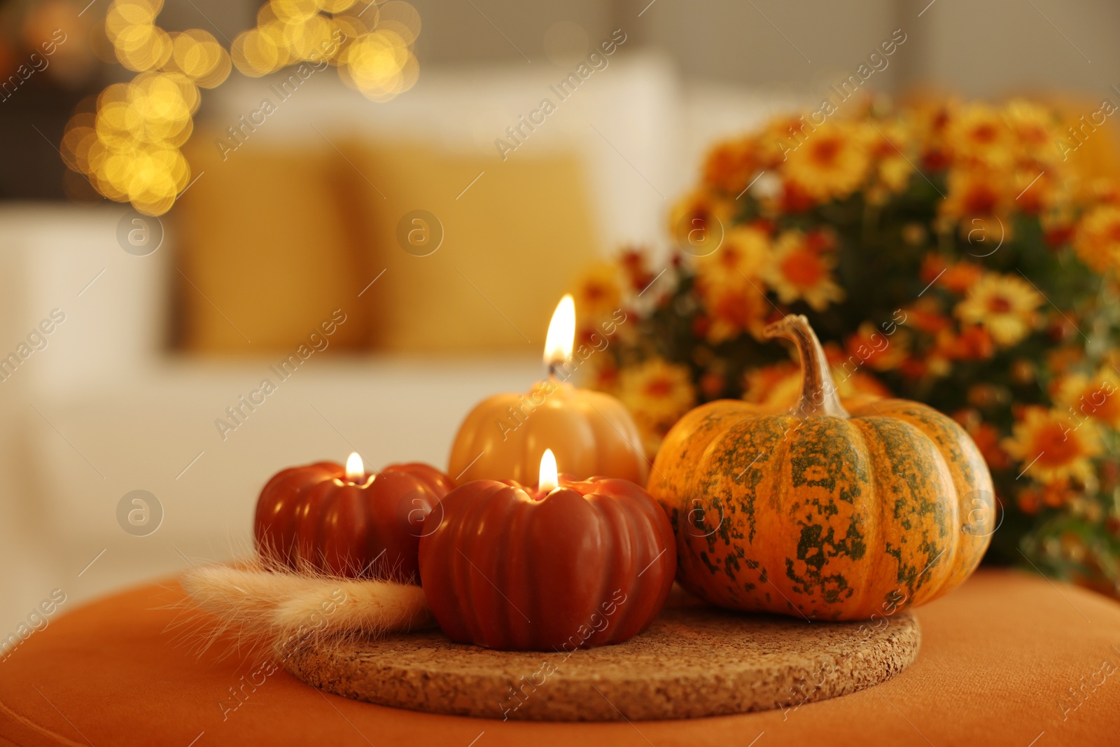 Photo of Burning candles, pumpkin and spikelets indoors. Autumn atmosphere