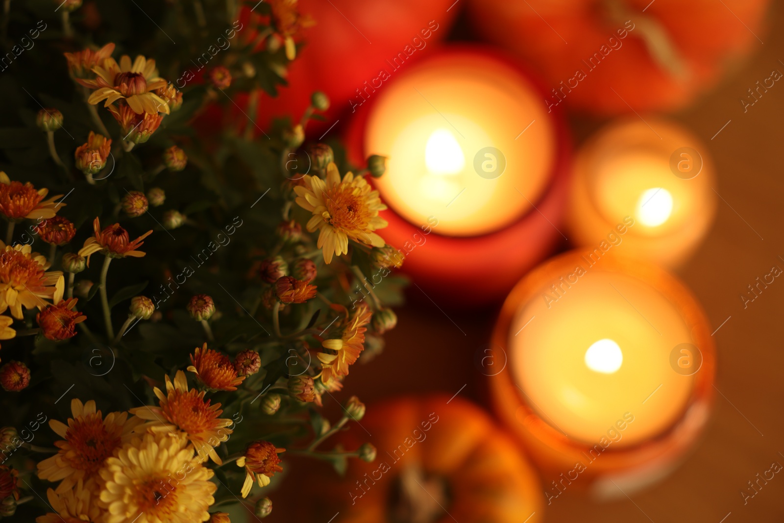 Photo of Burning candles, flowers and pumpkins on table, above view. Autumn atmosphere