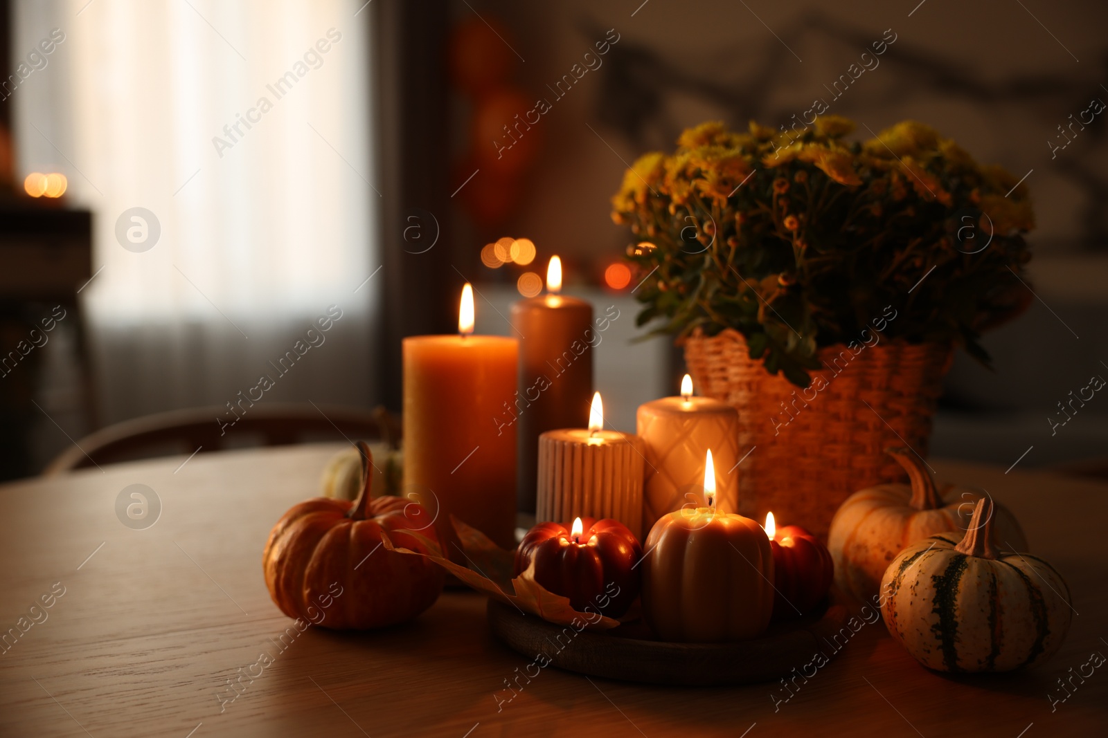 Photo of Burning candles, pumpkins and flowers on wooden table indoors. Space for text