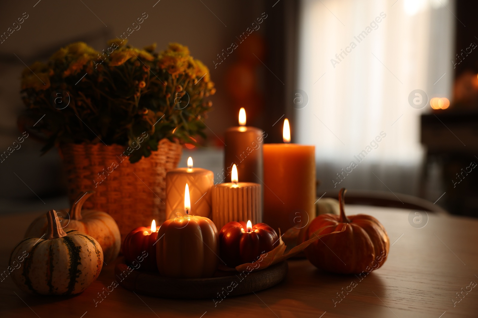 Photo of Burning candles, pumpkins and flowers on wooden table indoors. Space for text