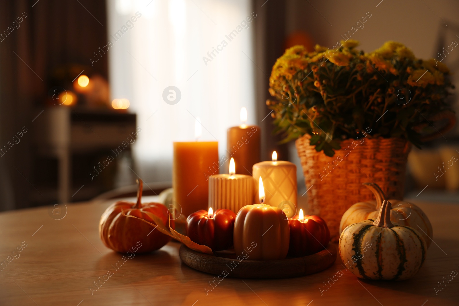 Photo of Burning candles, pumpkins and flowers on wooden table indoors. Space for text