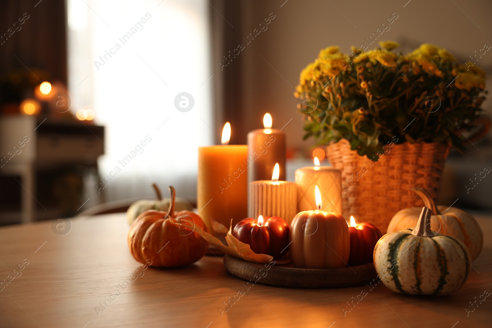 Photo of Burning candles, pumpkins and flowers on wooden table indoors. Space for text