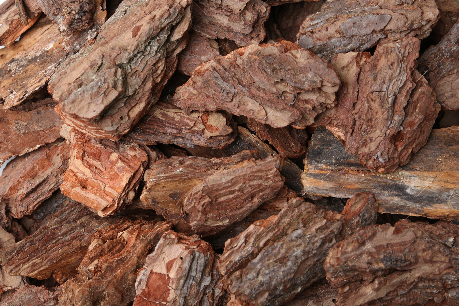 Photo of Pieces of tree bark as background, top view