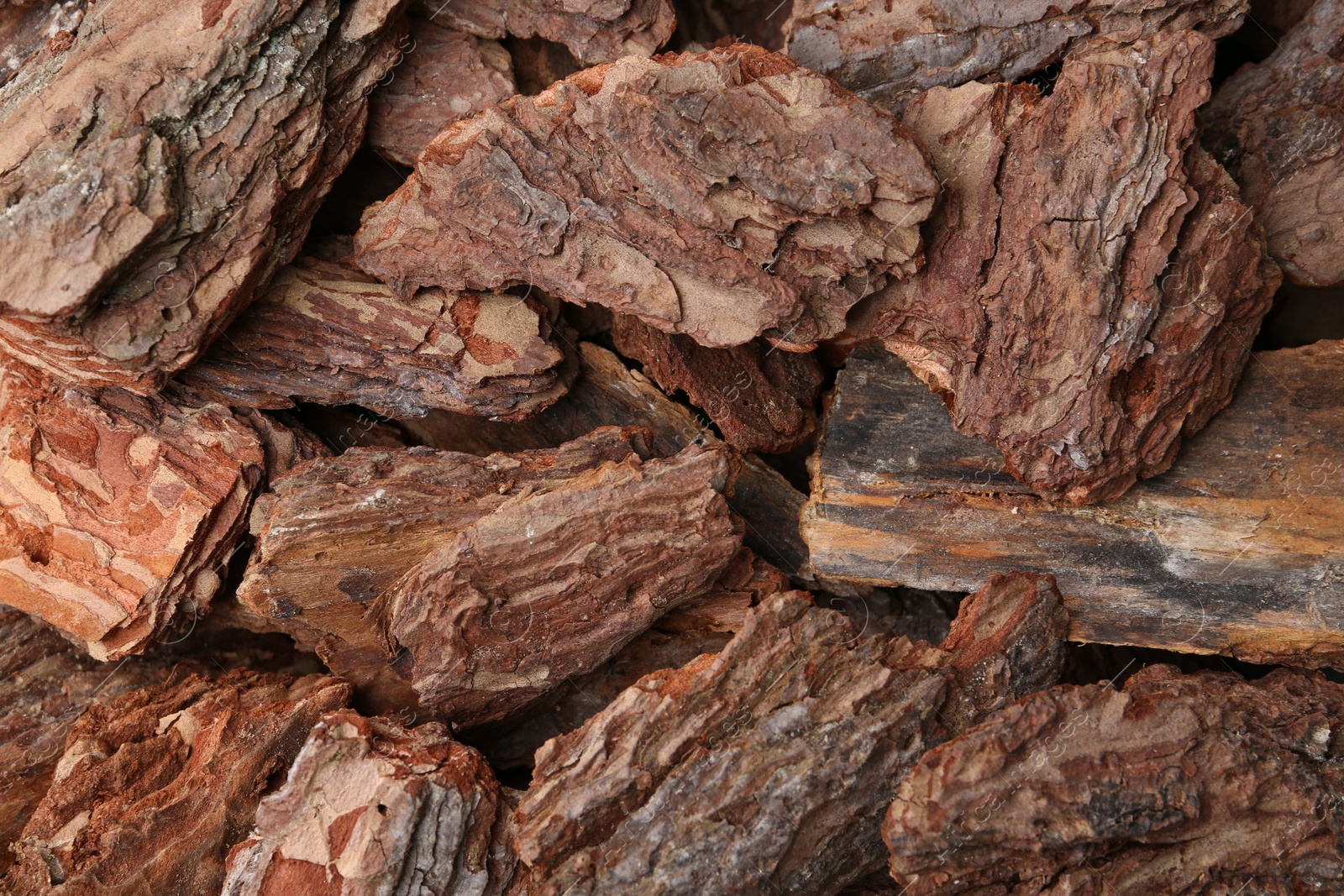 Photo of Pieces of tree bark as background, top view