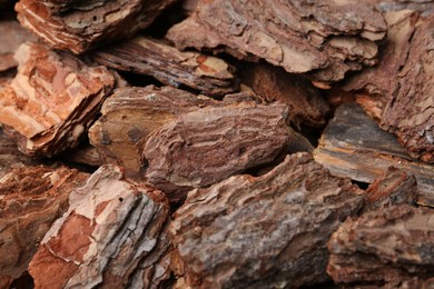 Photo of Pieces of tree bark as background, closeup