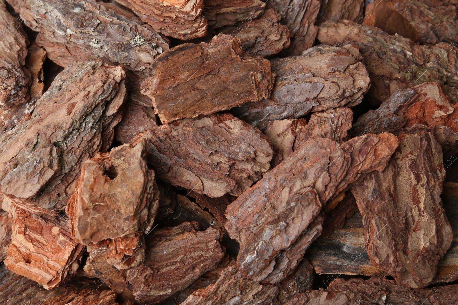 Photo of Pieces of tree bark as background, top view