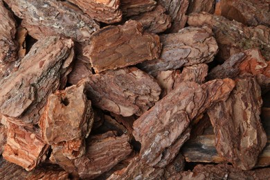 Photo of Pieces of tree bark as background, top view