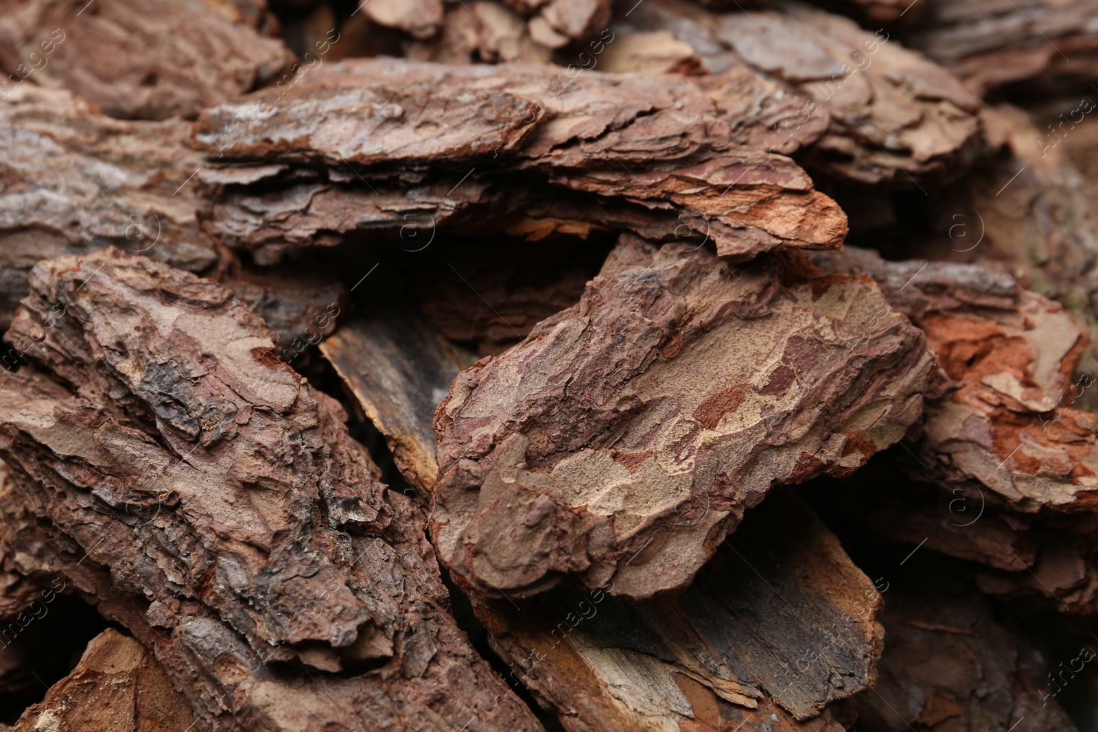 Pieces of tree bark as background, closeup Photo of Pieces of tree bark as background, closeup