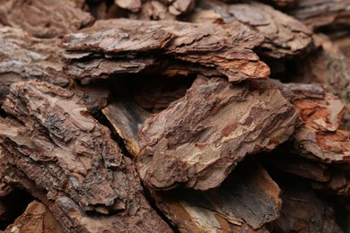 Photo of Pieces of tree bark as background, closeup