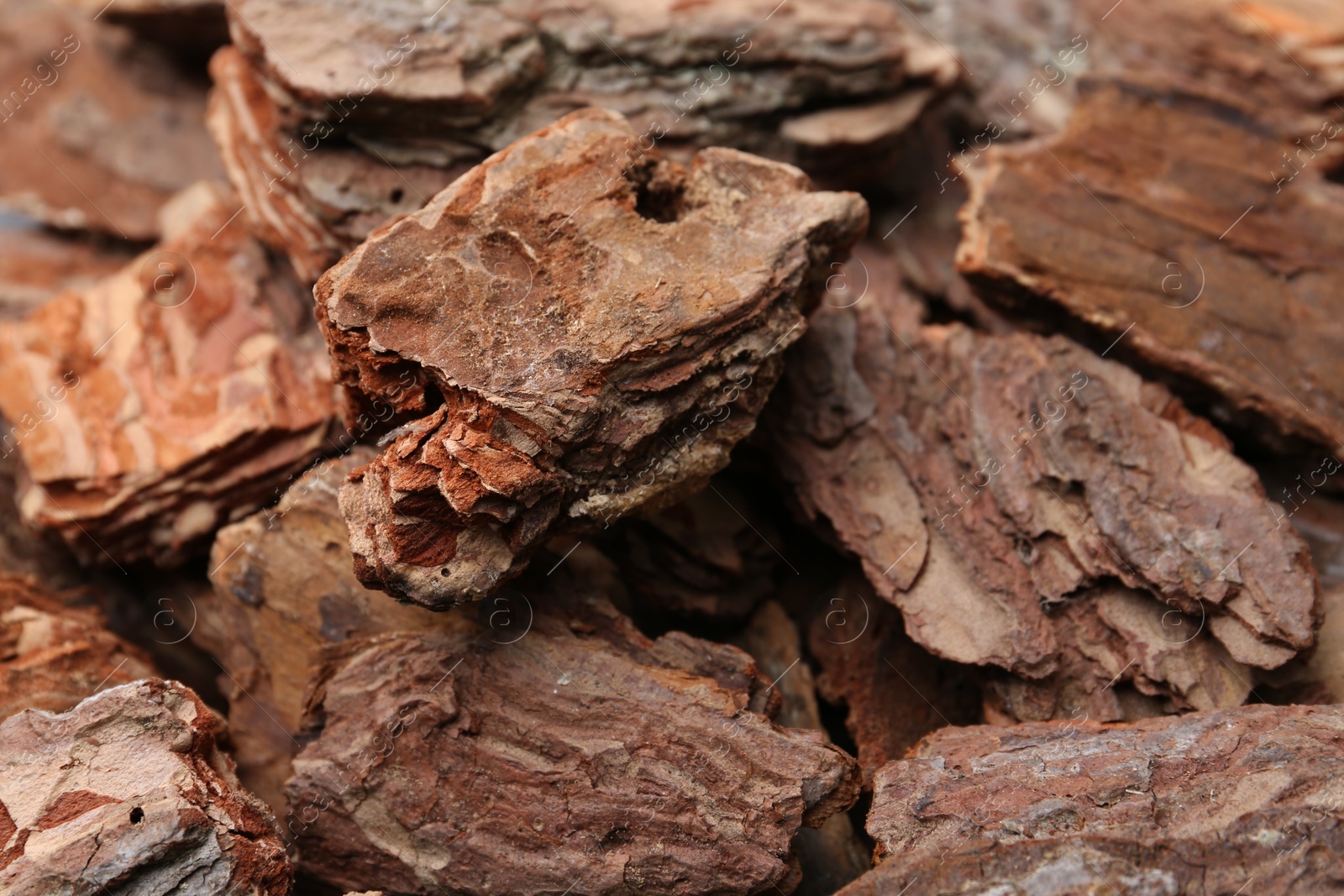 Photo of Pieces of tree bark as background, closeup