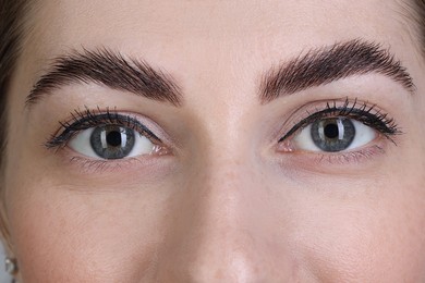 Woman after brow lamination procedure, closeup view