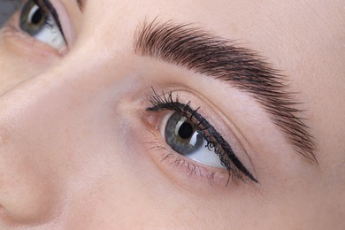 Photo of Woman after brow lamination procedure, closeup view