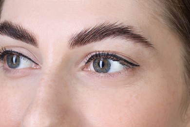 Photo of Woman after brow lamination procedure, closeup view