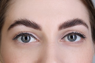 Photo of Woman after brow lamination procedure, closeup view