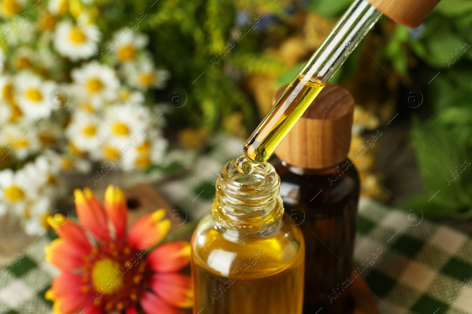 Photo of Dripping tincture from pipette into bottle at table, closeup