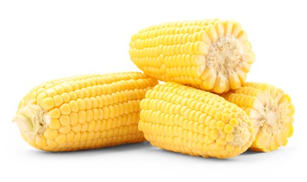 Photo of Halves of fresh corncobs isolated on white