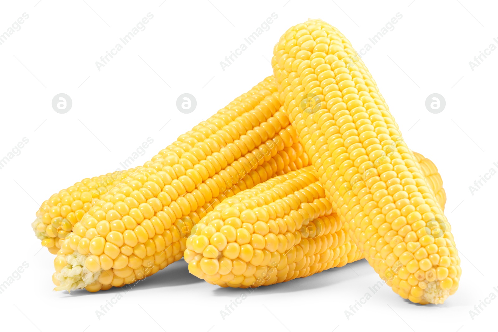 Photo of Many fresh ripe corncobs isolated on white