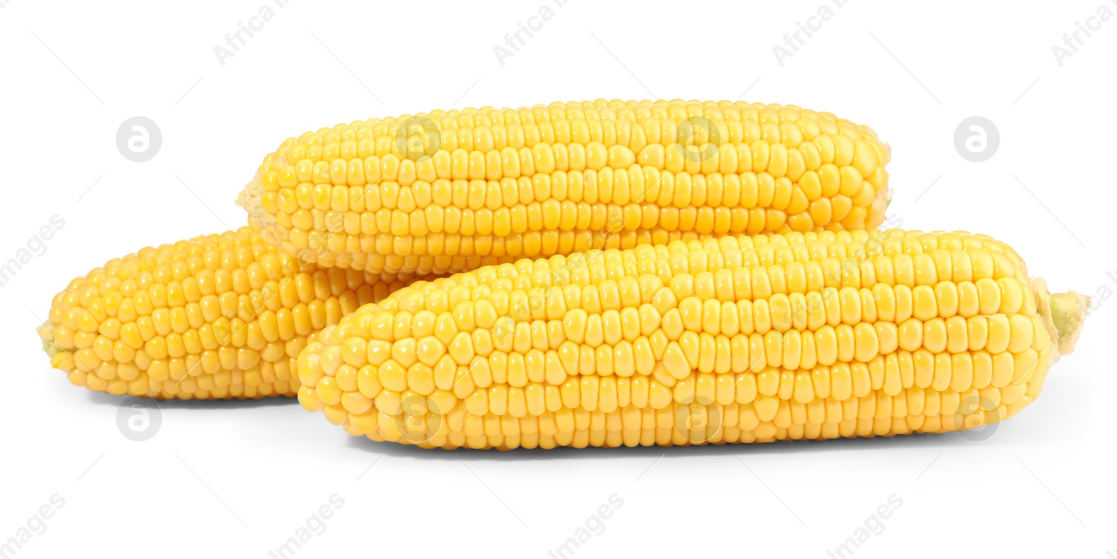 Photo of Many fresh ripe corncobs isolated on white