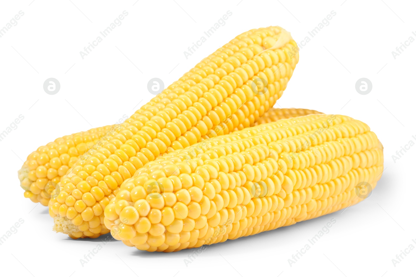 Photo of Many fresh ripe corncobs isolated on white