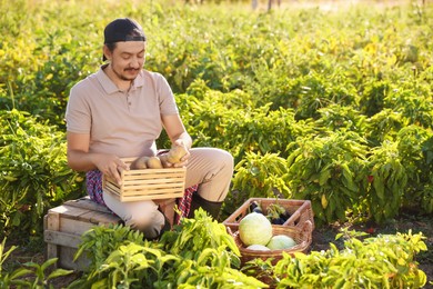 Photo of Farmer harvesting ripe vegetables in field on sunny day