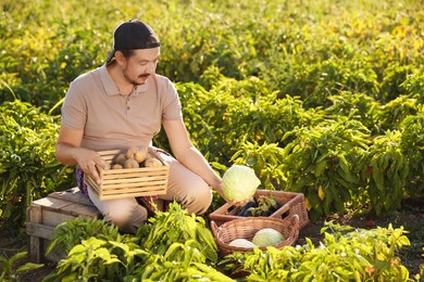 Photo of Farmer harvesting ripe vegetables in field on sunny day