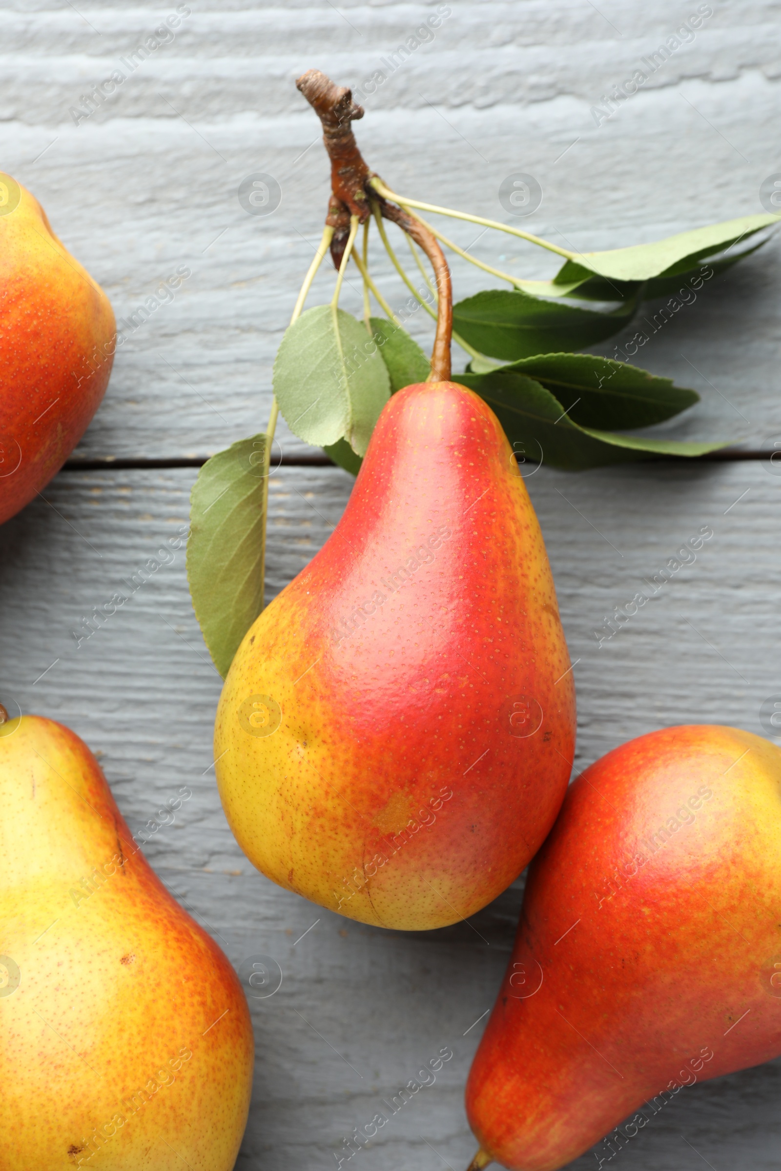 Photo of Ripe juicy pears on grey wooden table, flat lay