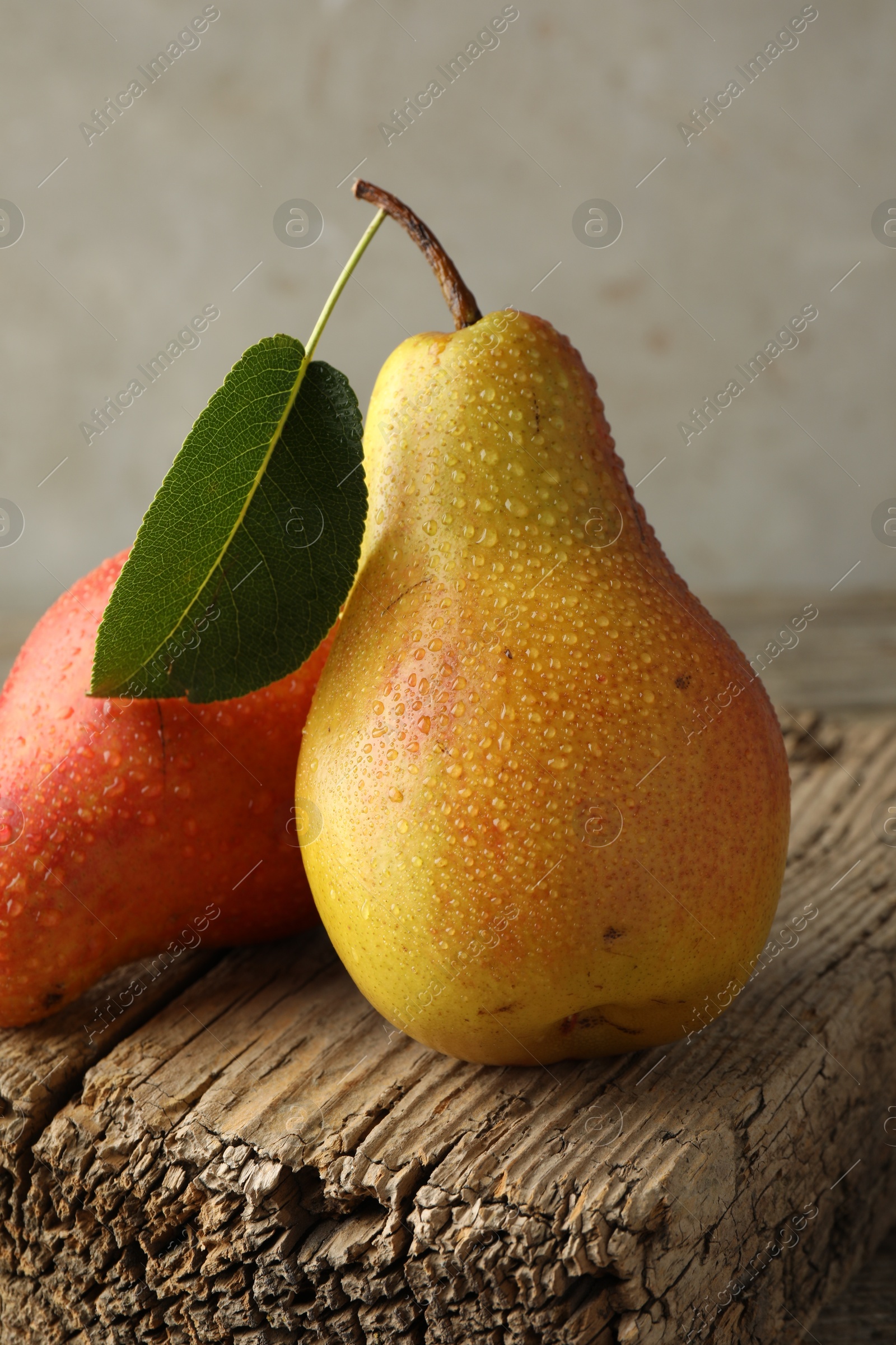 Photo of Ripe juicy pears on table against grey background, closeup