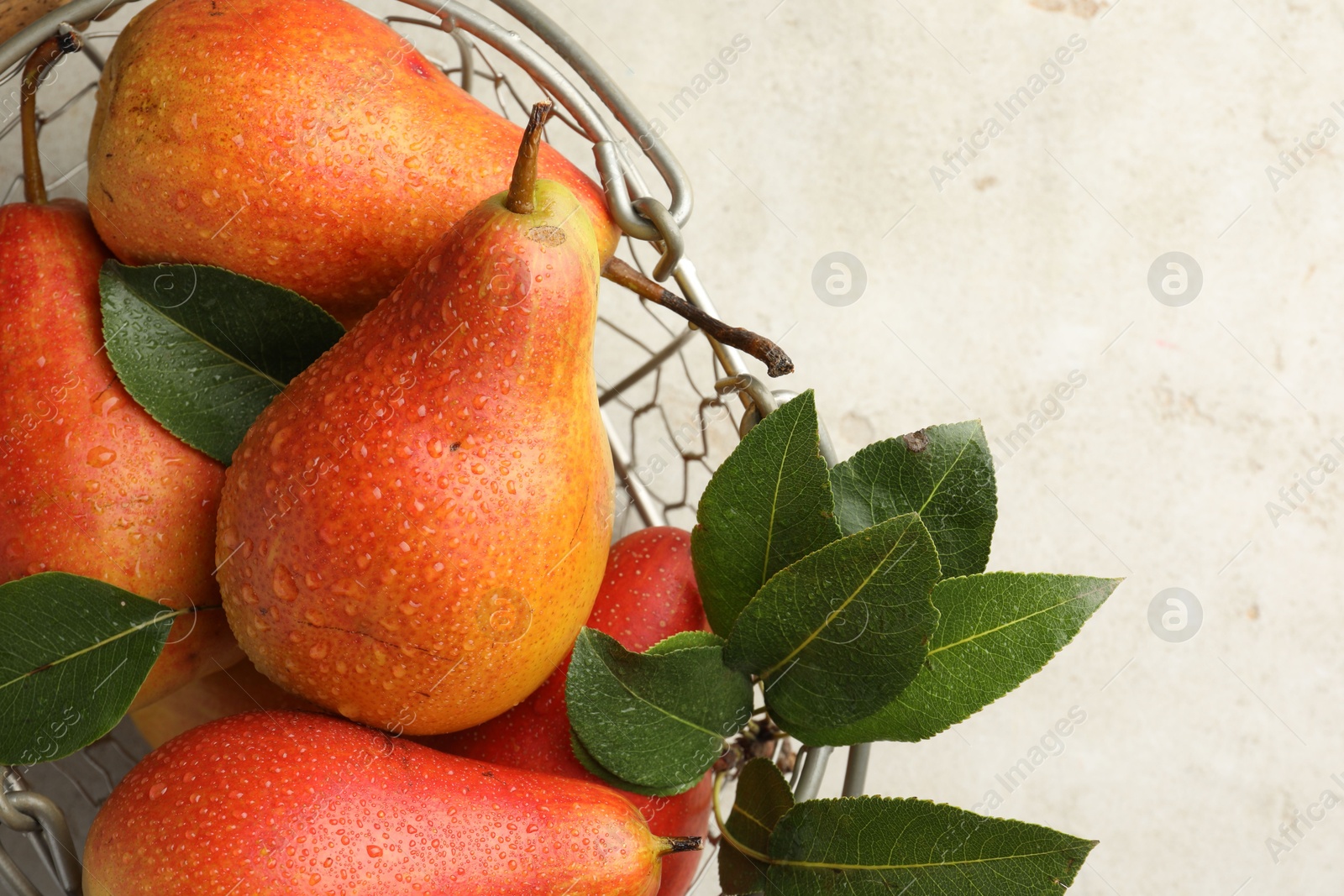 Photo of Ripe juicy pears in metal basket on grey table, top view