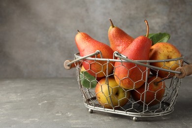 Photo of Ripe juicy pears in metal basket on grey textured table, space for text