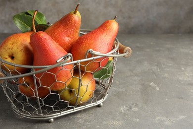 Photo of Ripe juicy pears in metal basket on grey textured table, space for text