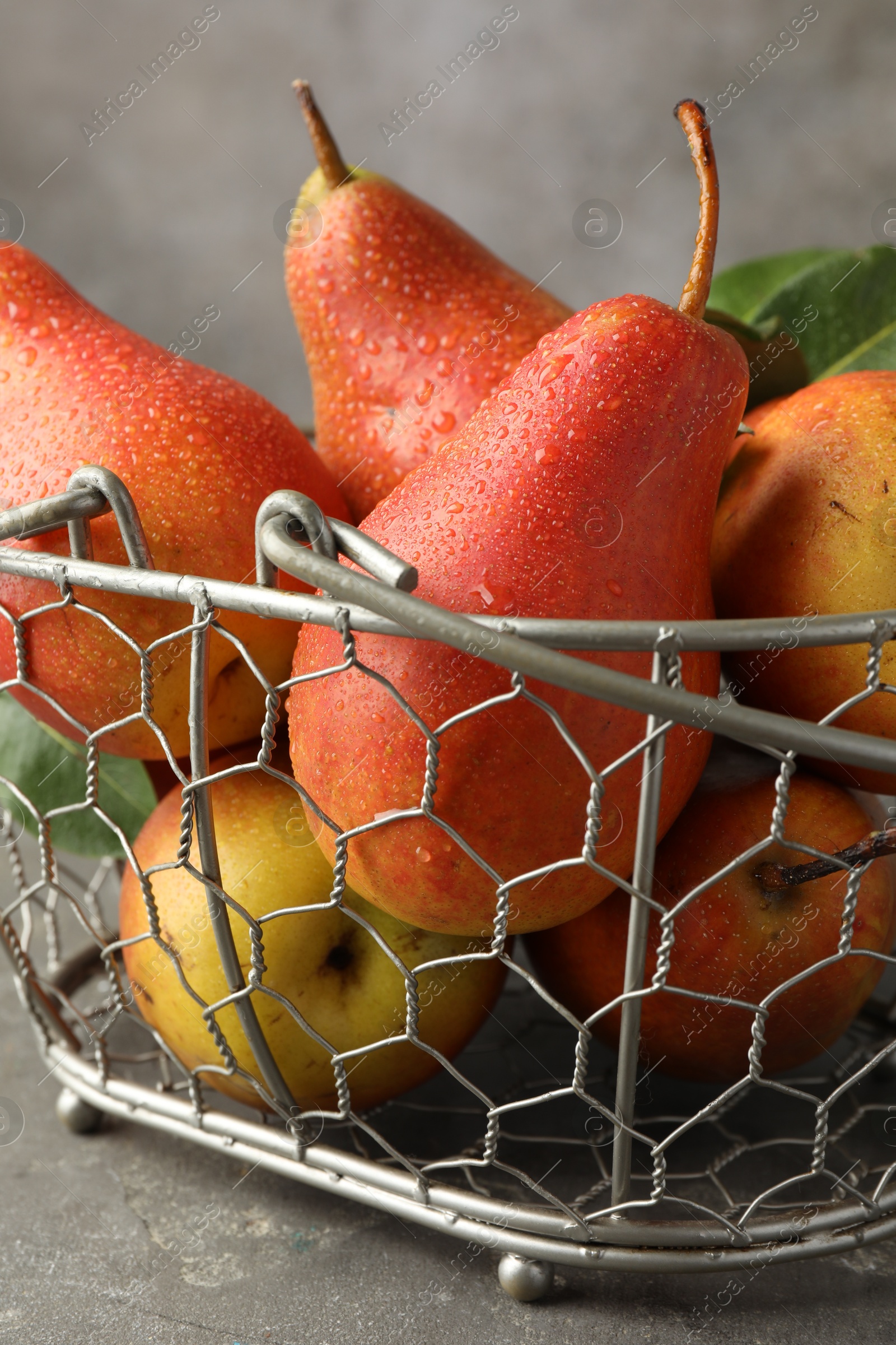 Photo of Ripe juicy pears in metal basket on grey textured table, closeup