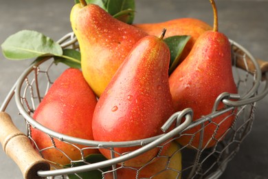 Photo of Ripe juicy pears in metal basket on grey table, closeup