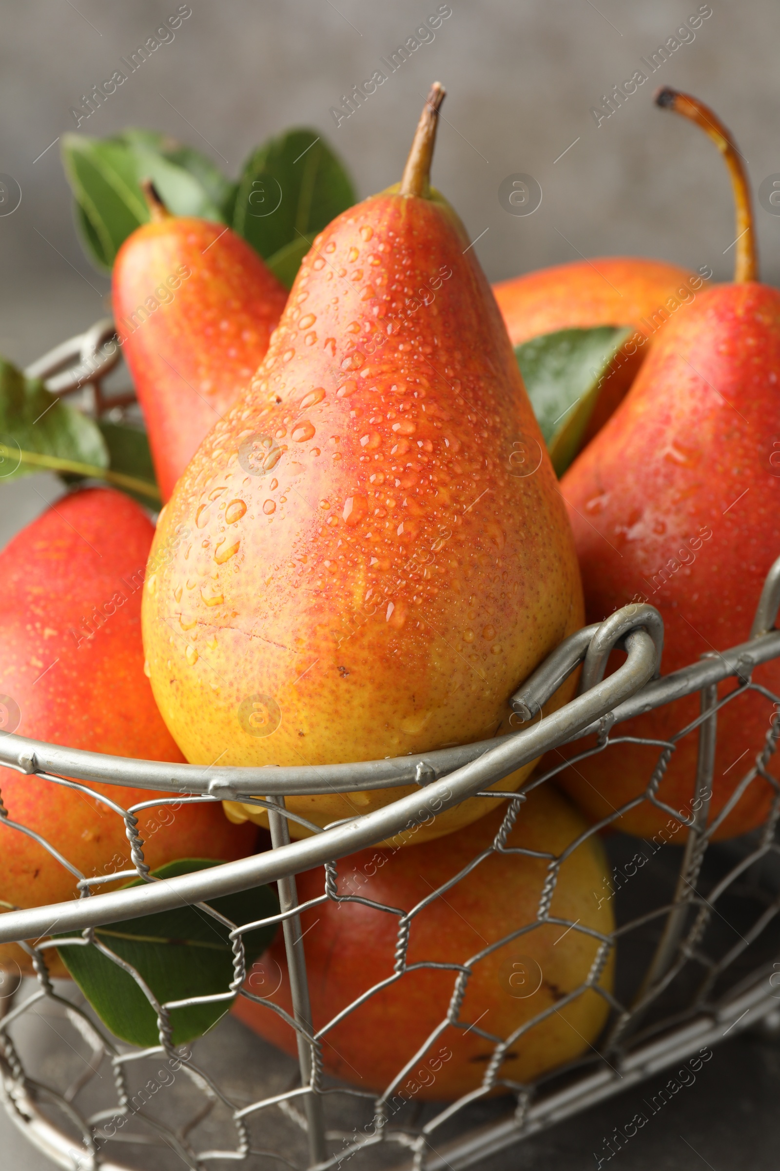 Photo of Ripe juicy pears in metal basket on grey table, closeup