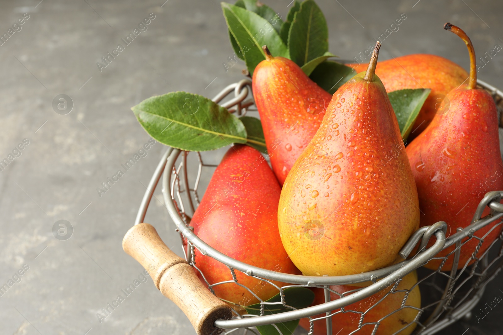 Photo of Ripe juicy pears in metal basket on grey table, closeup