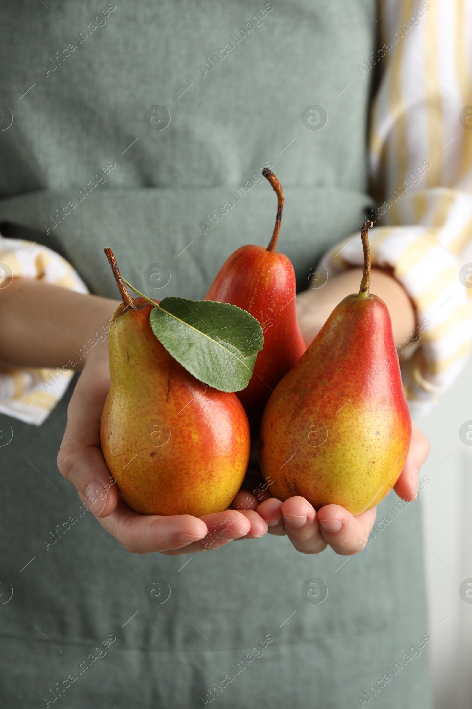 Photo of Woman holding ripe juicy pears, closeup view