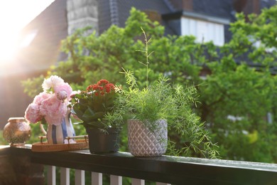 Balcony garden. Different plants on railings outdoors on sunny day