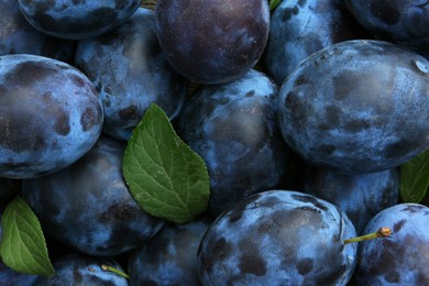 Photo of Many fresh plums and leaves as background, top view