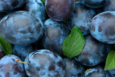 Photo of Many fresh plums and leaves as background, top view