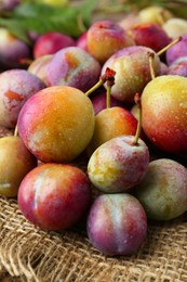 Photo of Pile of tasty ripe plums on table, closeup