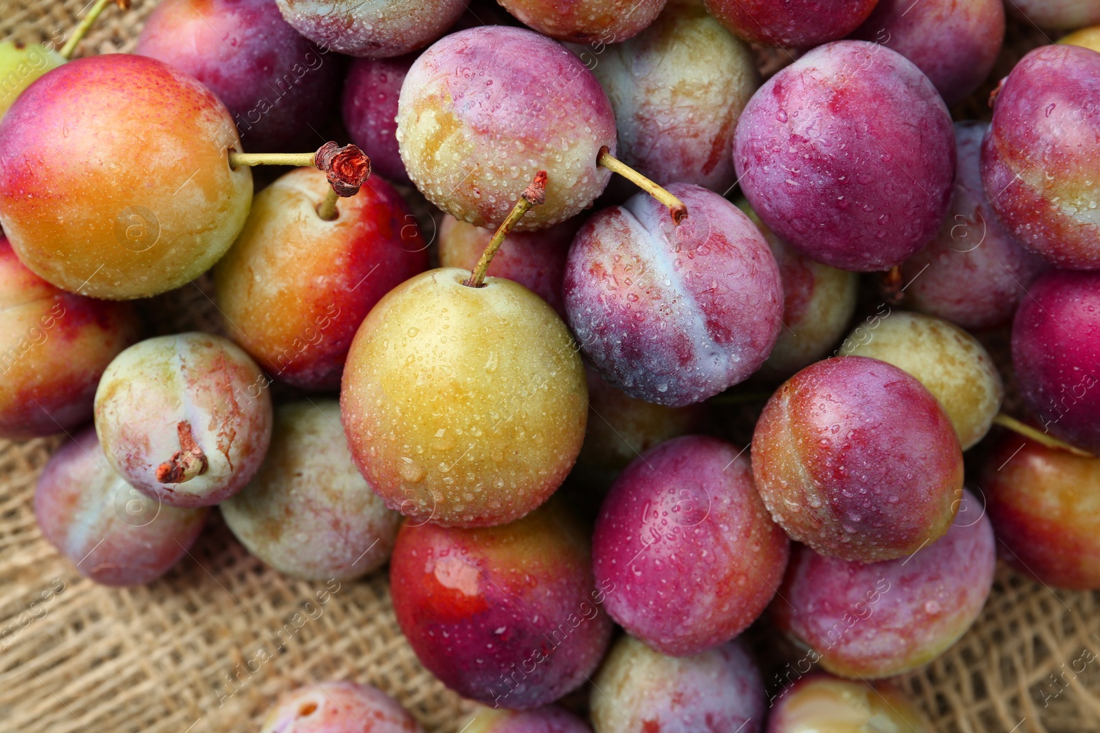 Photo of Tasty ripe plums on table, flat lay