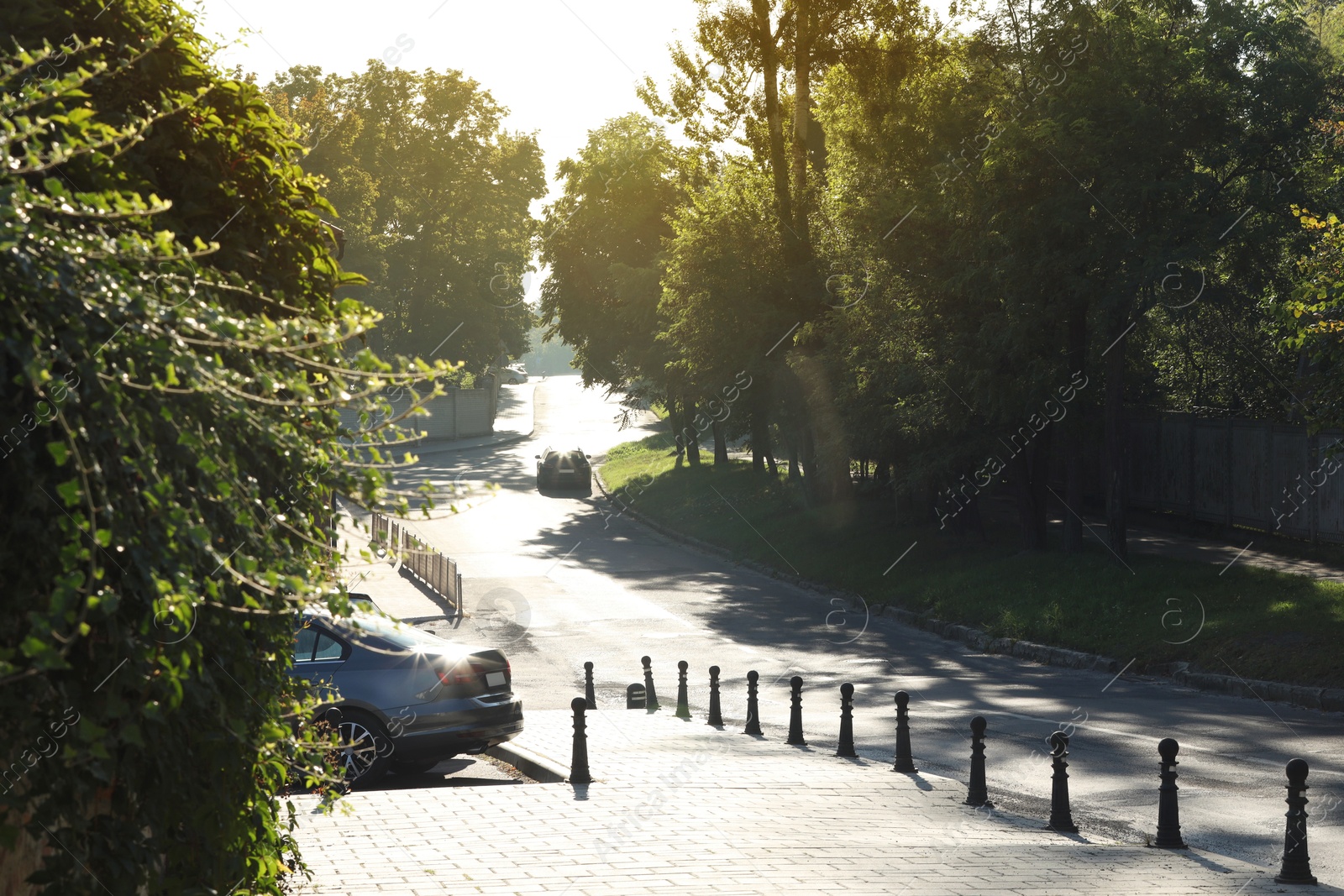 Photo of Beautiful view of city with trees in morning