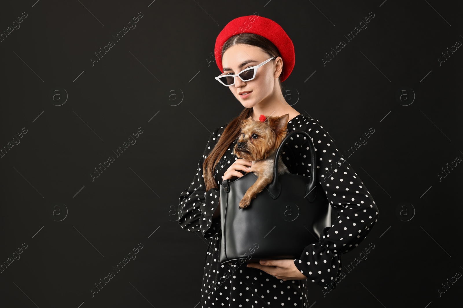 Photo of Woman in sunglasses holding bag with cute Yorkshire Terrier dog on black background